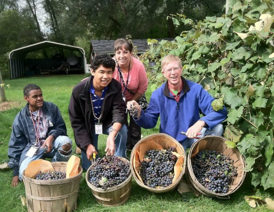 Student and Parents picking grapes